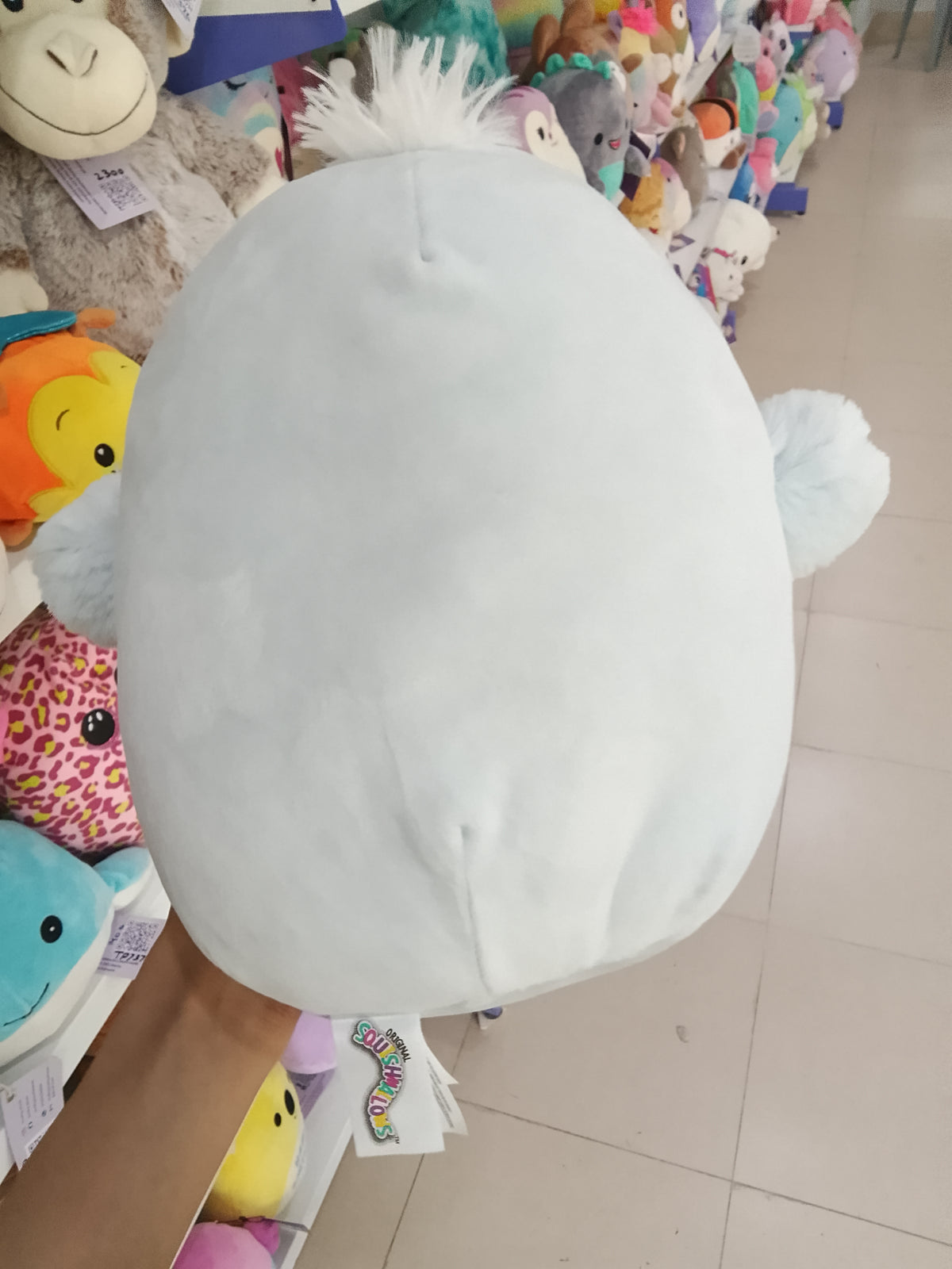 Squishmallows Camden the Blue Bird, notable for its sky blue color, fuzzy white belly, and white crest on top