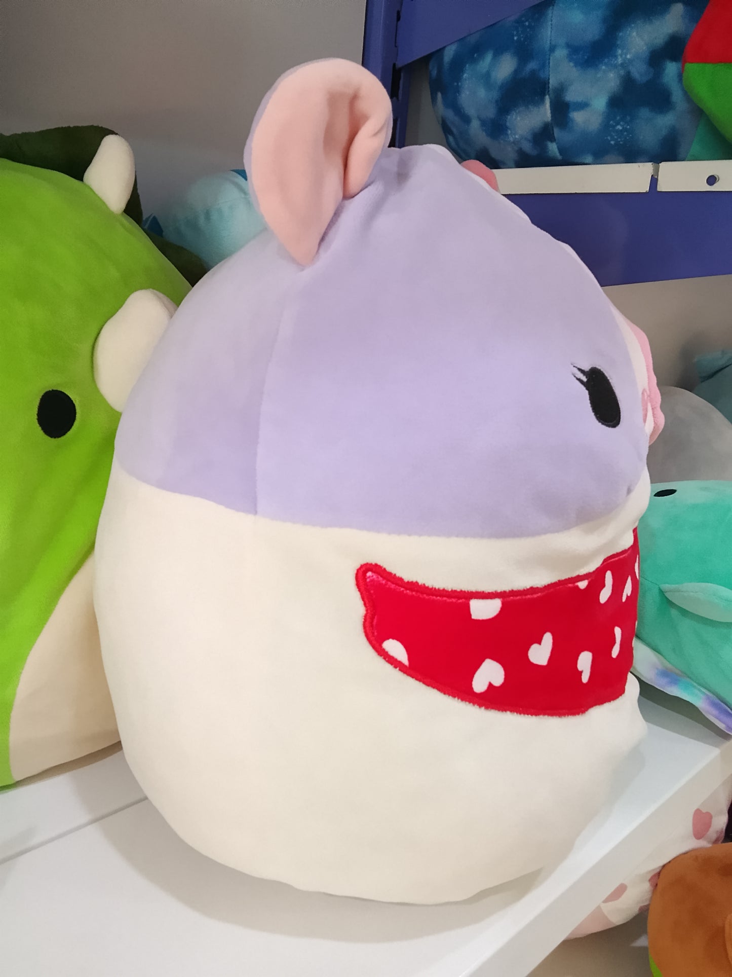 Squishmallows Niven the Guinea Pig plush toy from the Valentine Squad.