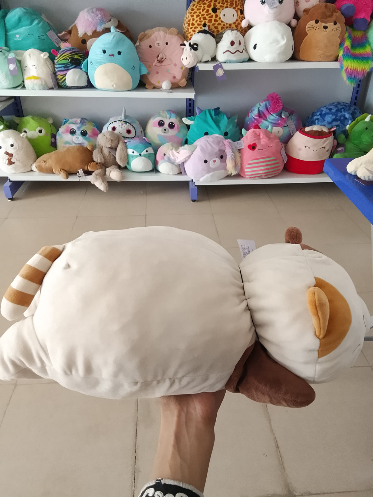 Miniso Standing Kitten plush pillow toy featuring a soft white and brown design.