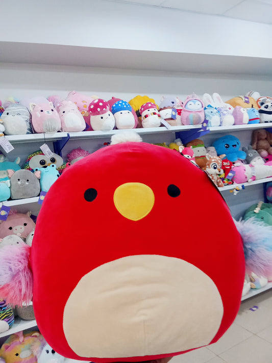 Paco The Red Parrot Squishmallow Plush Toy.