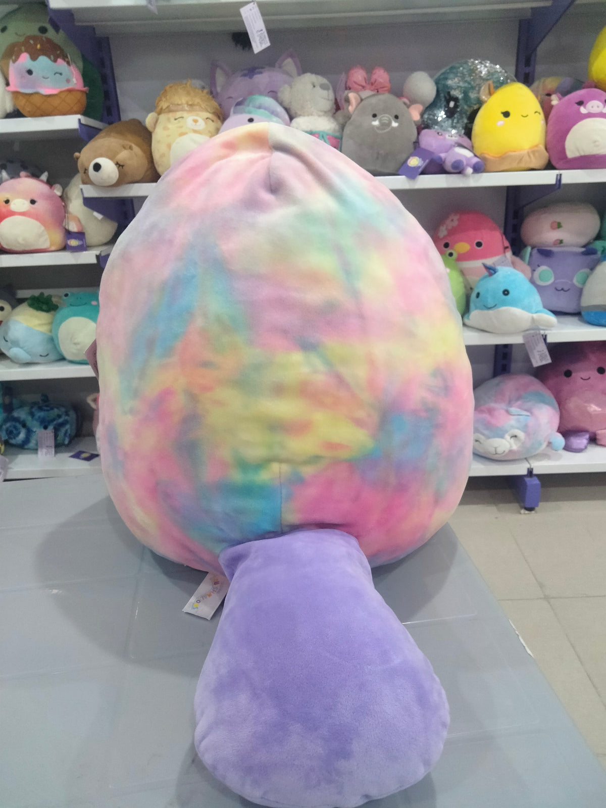 Squishmallows plush toy, specifically Brindall the Platypus.