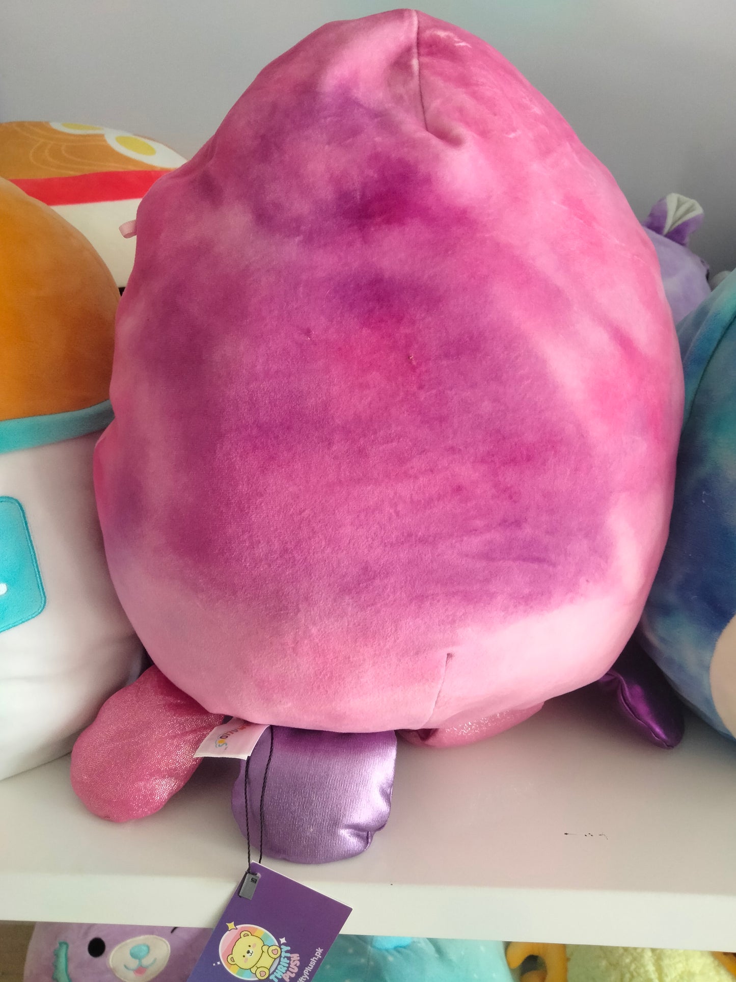 Adelaide the Octopus.