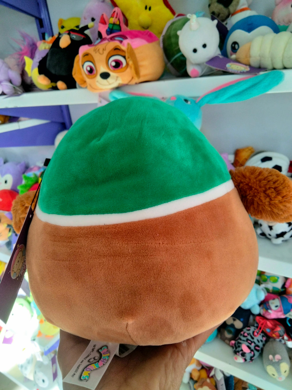 Squishmallows Avery the Mallard Duck plush toy.