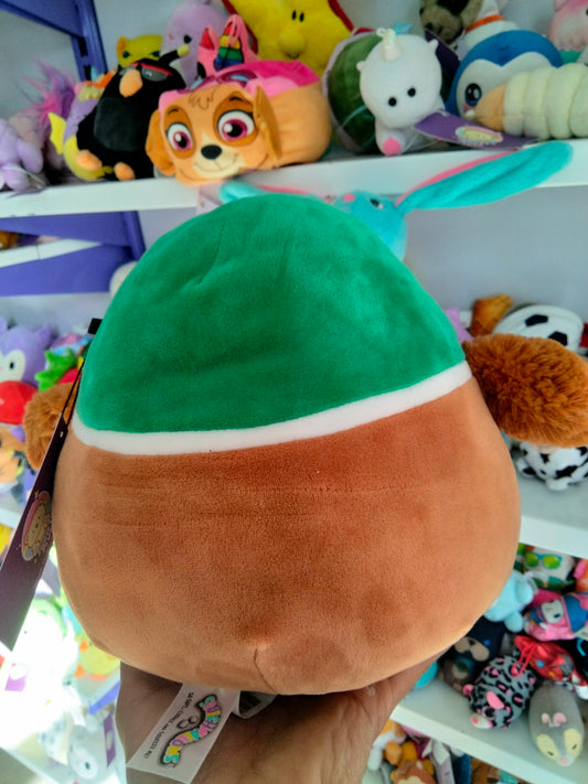 Squishmallows Avery the Mallard Duck plush toy.