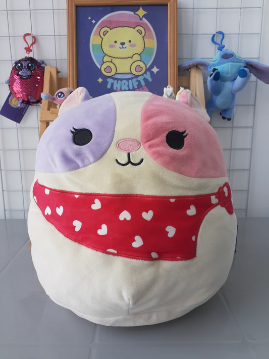 Squishmallows Niven The Hamster,  A Plushie