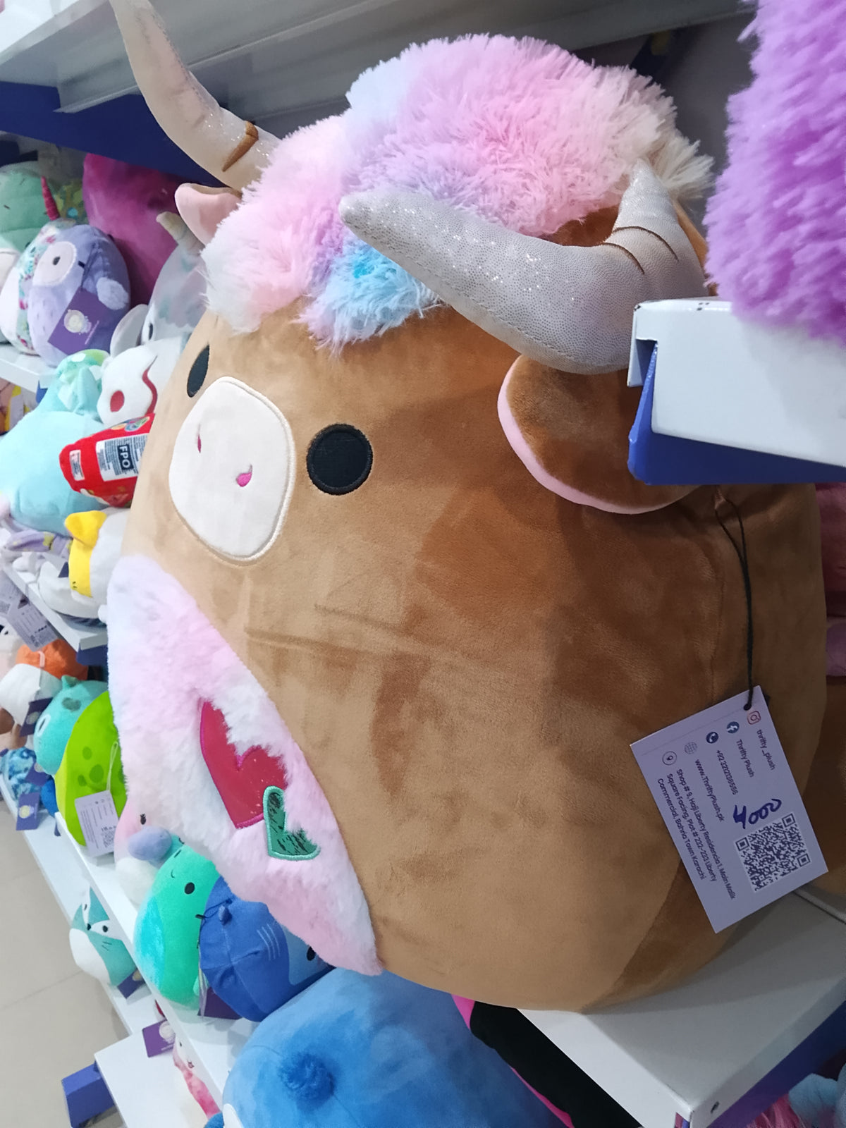 Squishmallows Candela the Highland Cow plush toy.