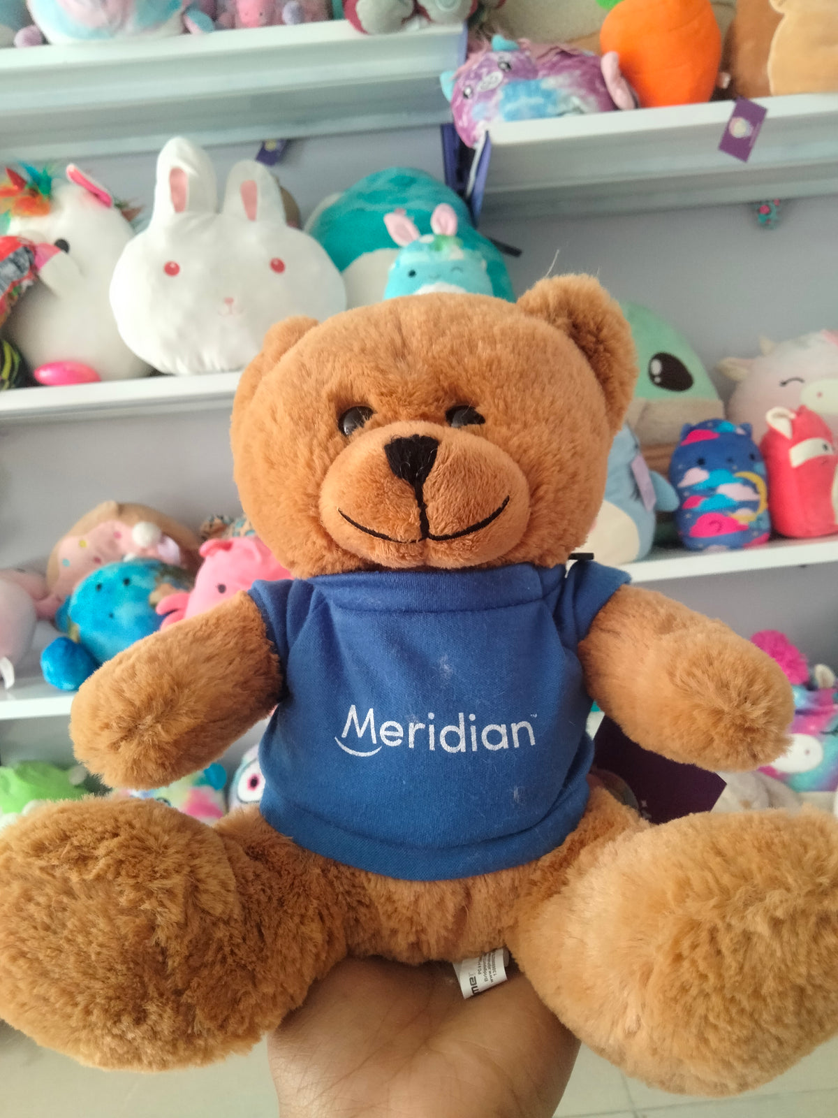 teddy bear plush toy