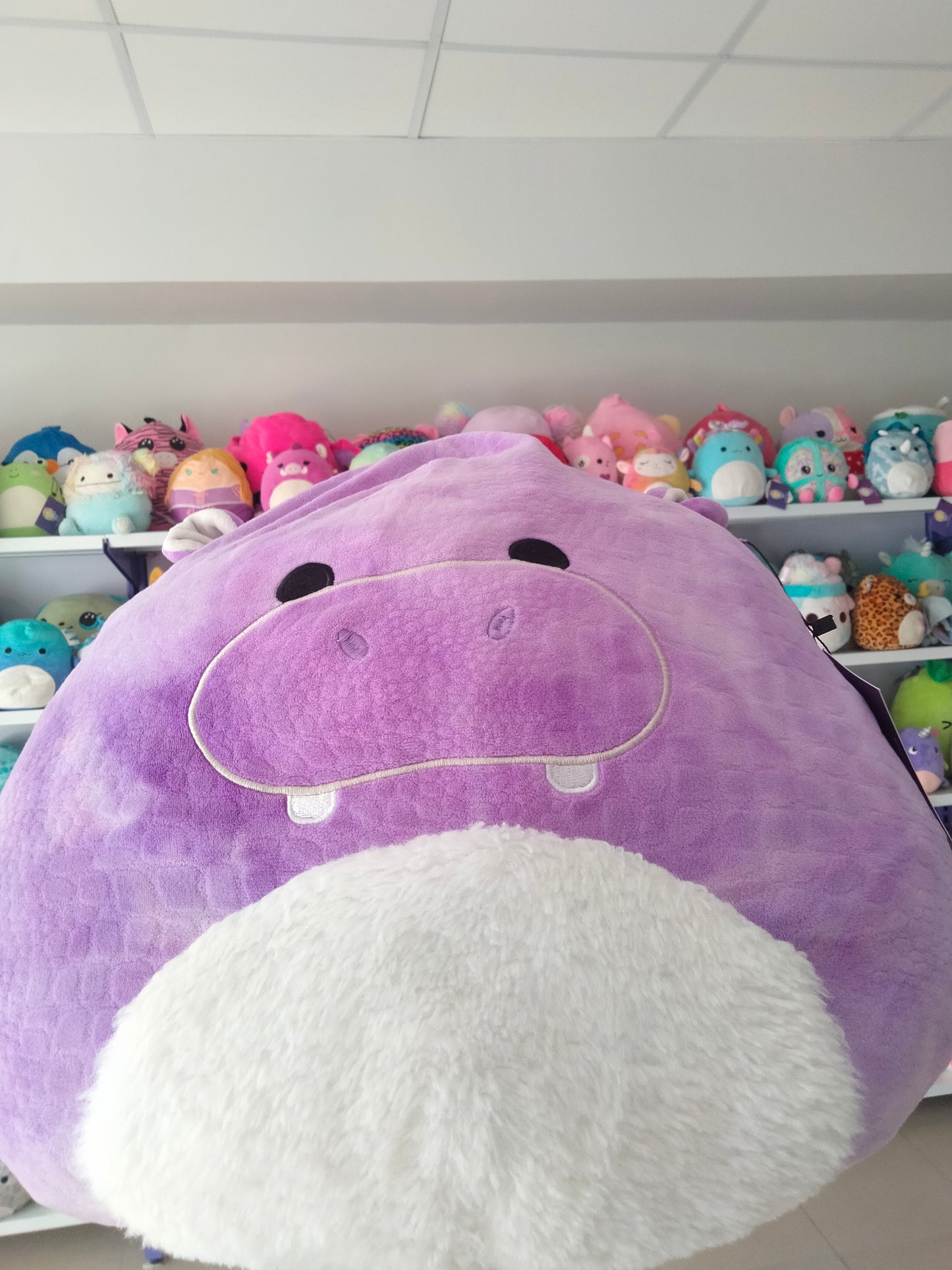 Zelma the Purple Textured Hippo.