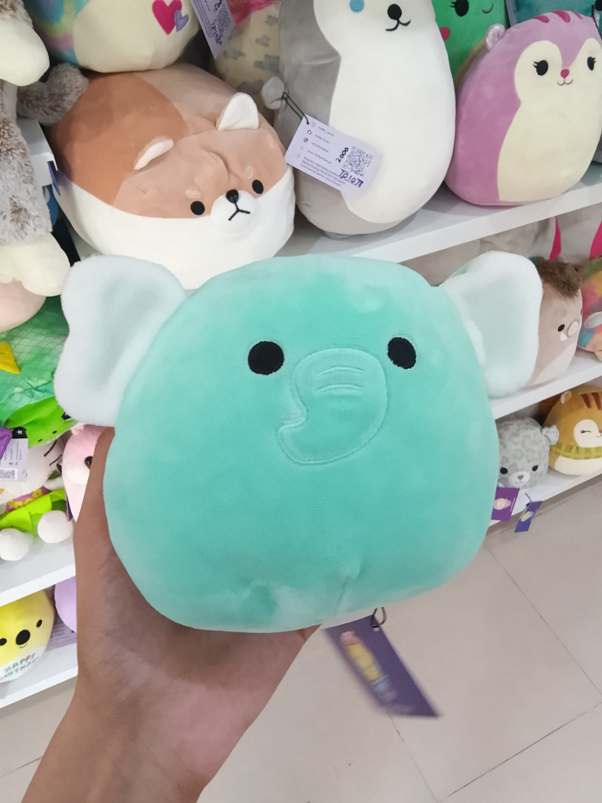 Squishmallows Zoo Squad Diego the Teal Elephant plush toy.