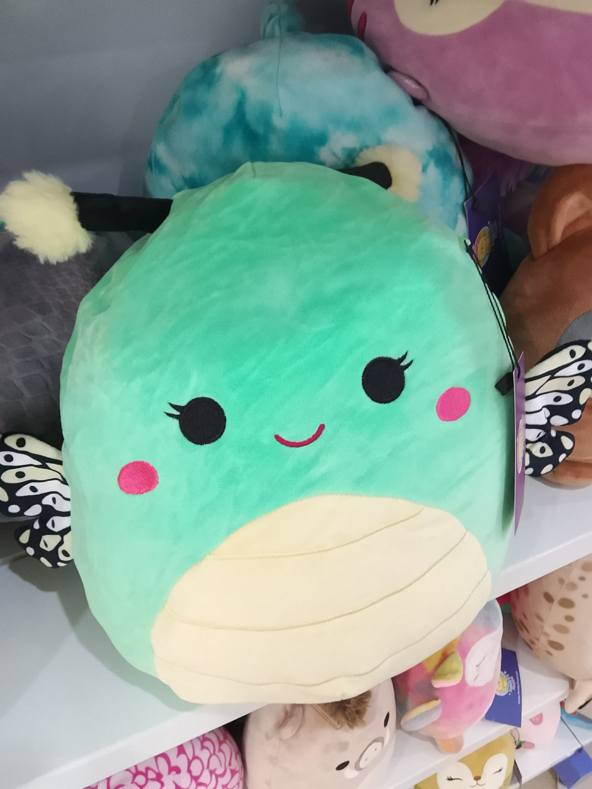 Squishmallows plush toy featuring Reina the Butterfly in a green color.
