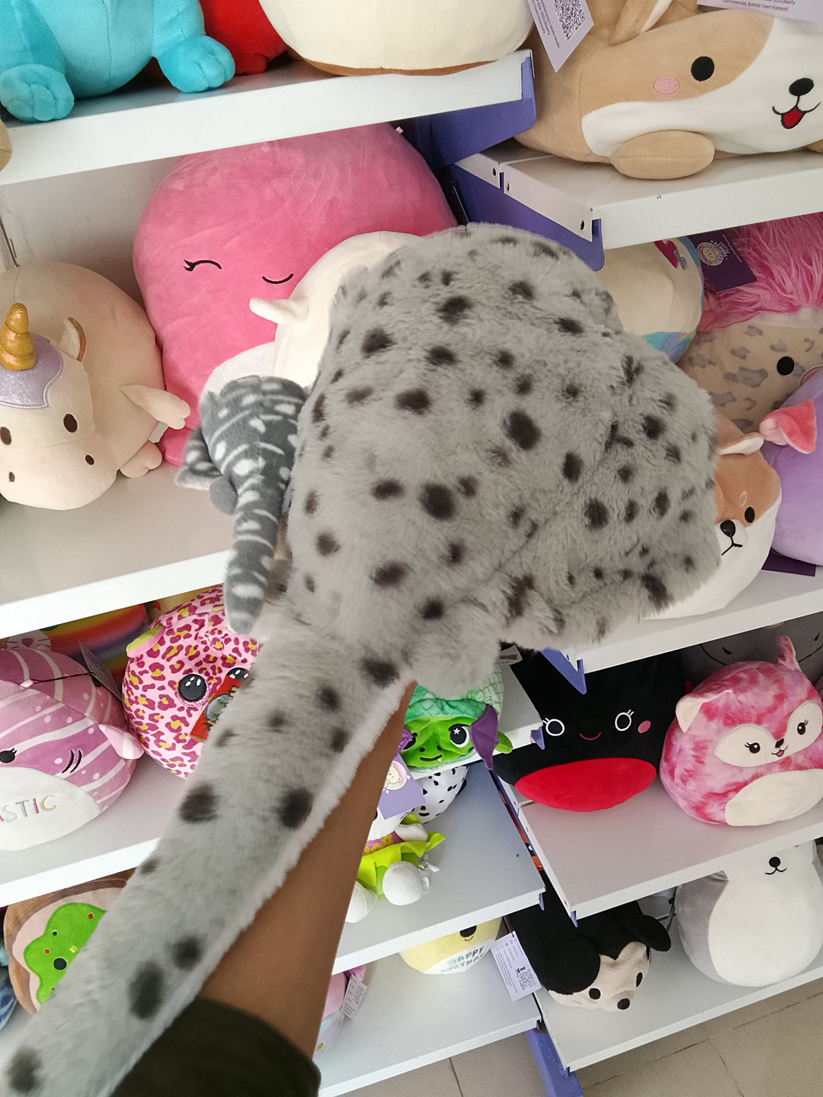 Rhode Island Novelty plush stingray stuffed animal with a smaller baby stingray attached.