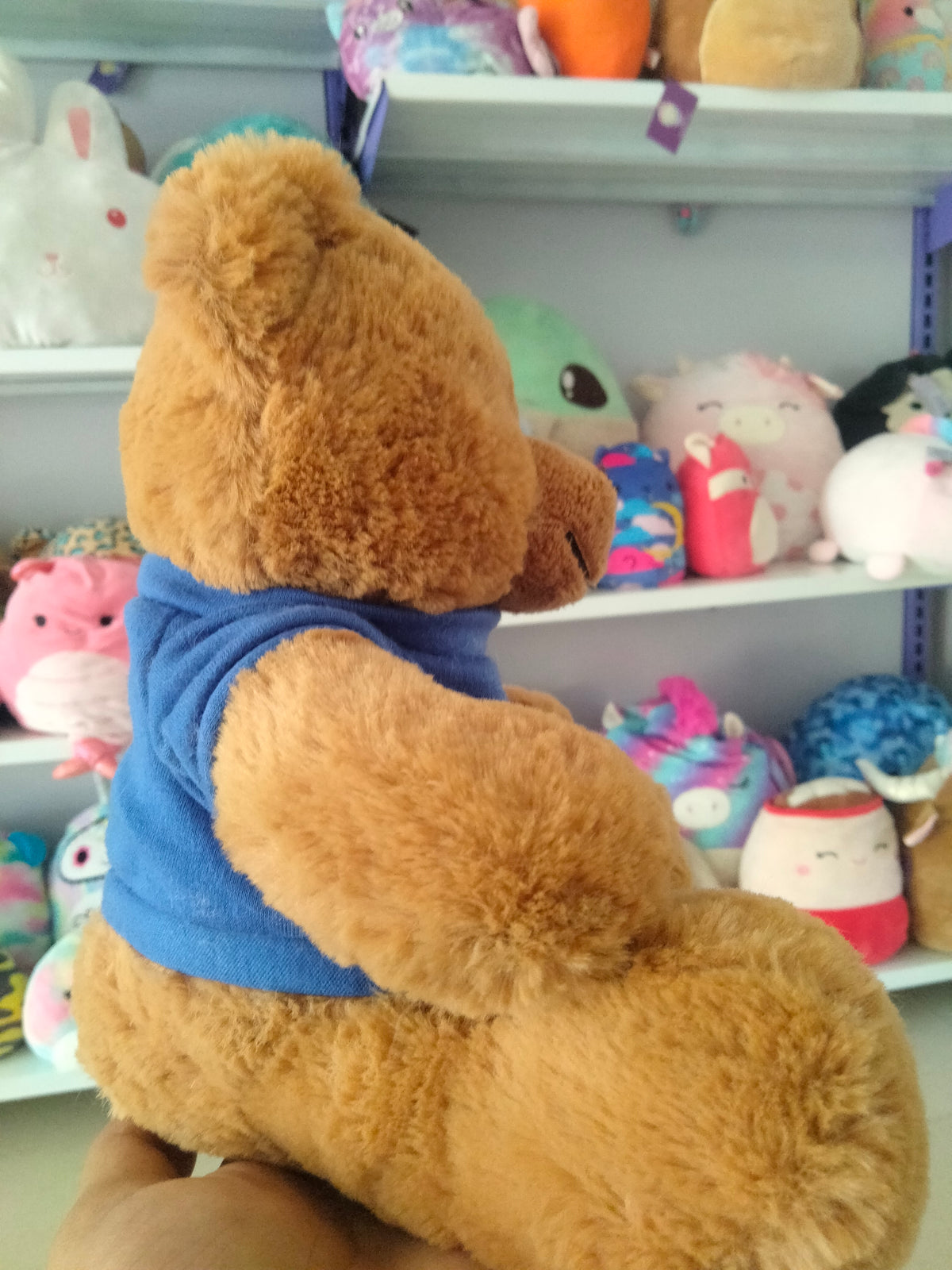 teddy bear plush toy