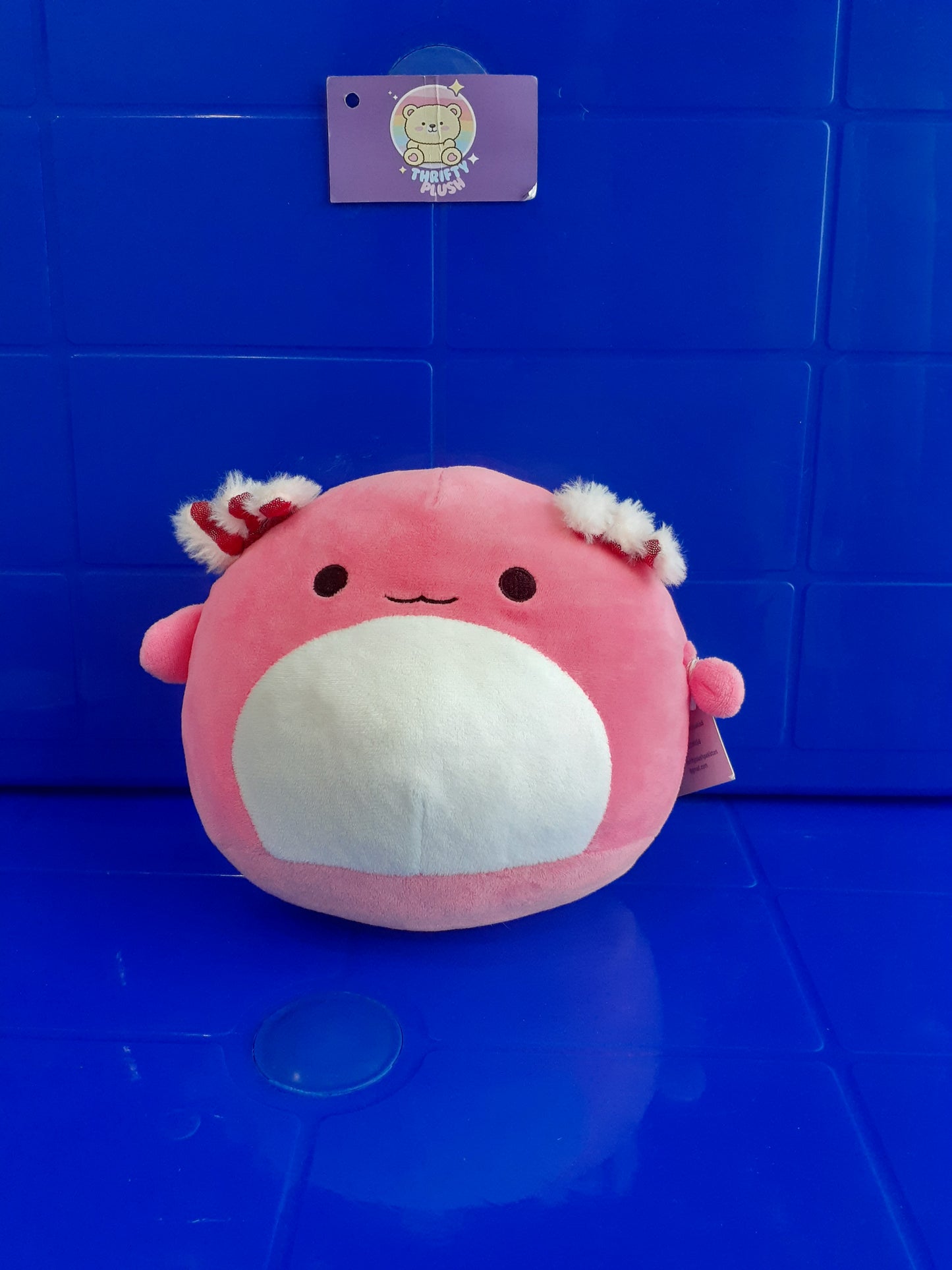 Squishmallows Plushie Toy, specifically "Archie" The axolotl.
