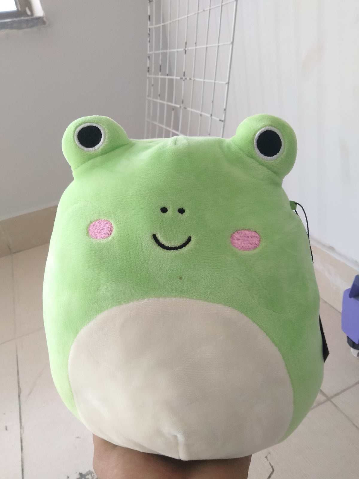 Squishmallows Wendy the Frog plush toy.