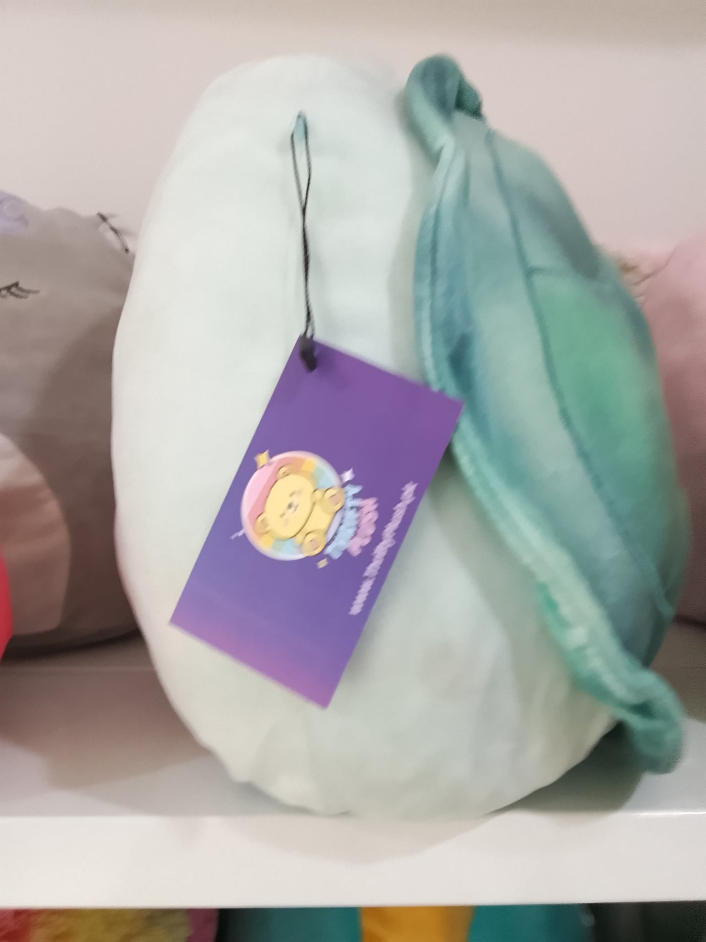 Squishmallows Onica the Turtle plush toy.