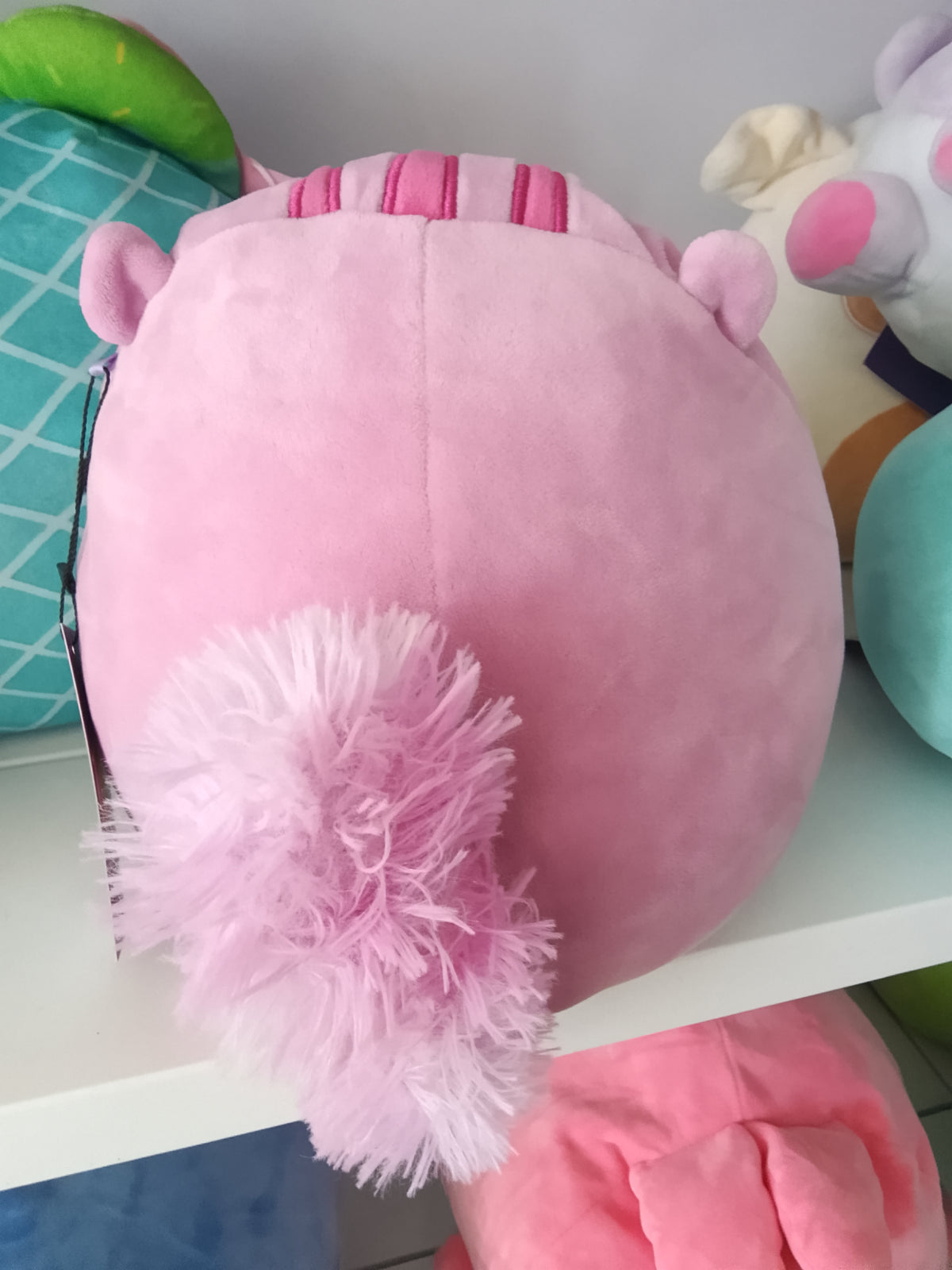 Squishmallows Allina the Squirrel plush toy.