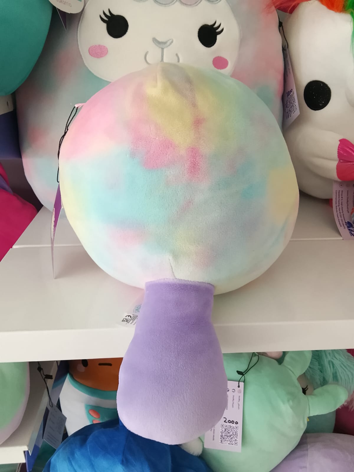 Brindall The Platypus, a Squishmallow Plushie