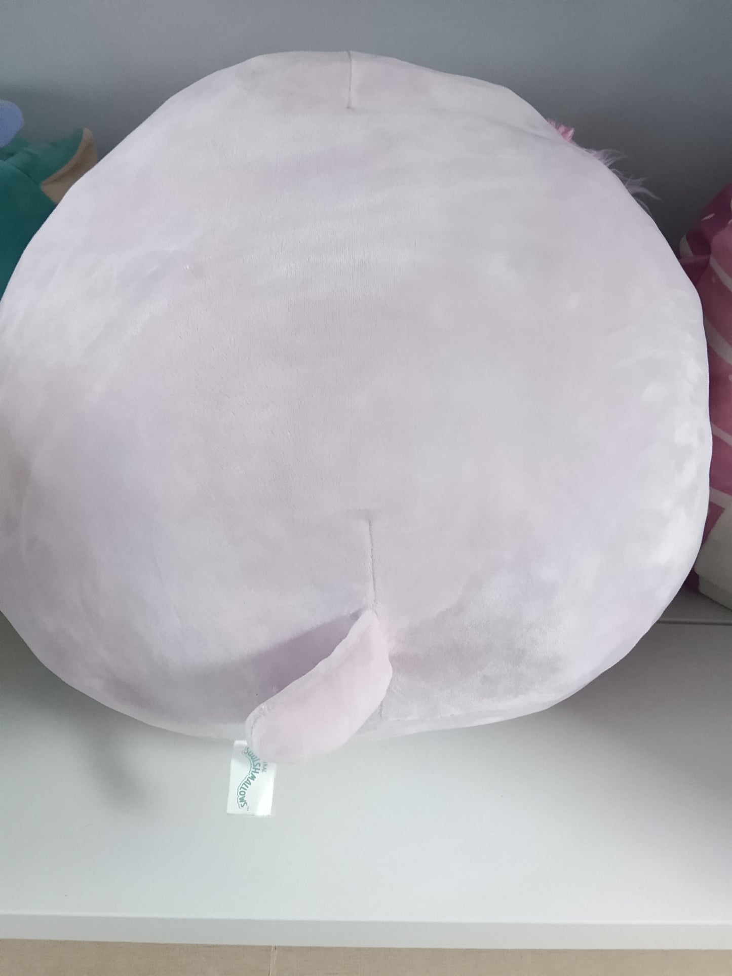 Squishmallows plush toy of Barb the Dog.