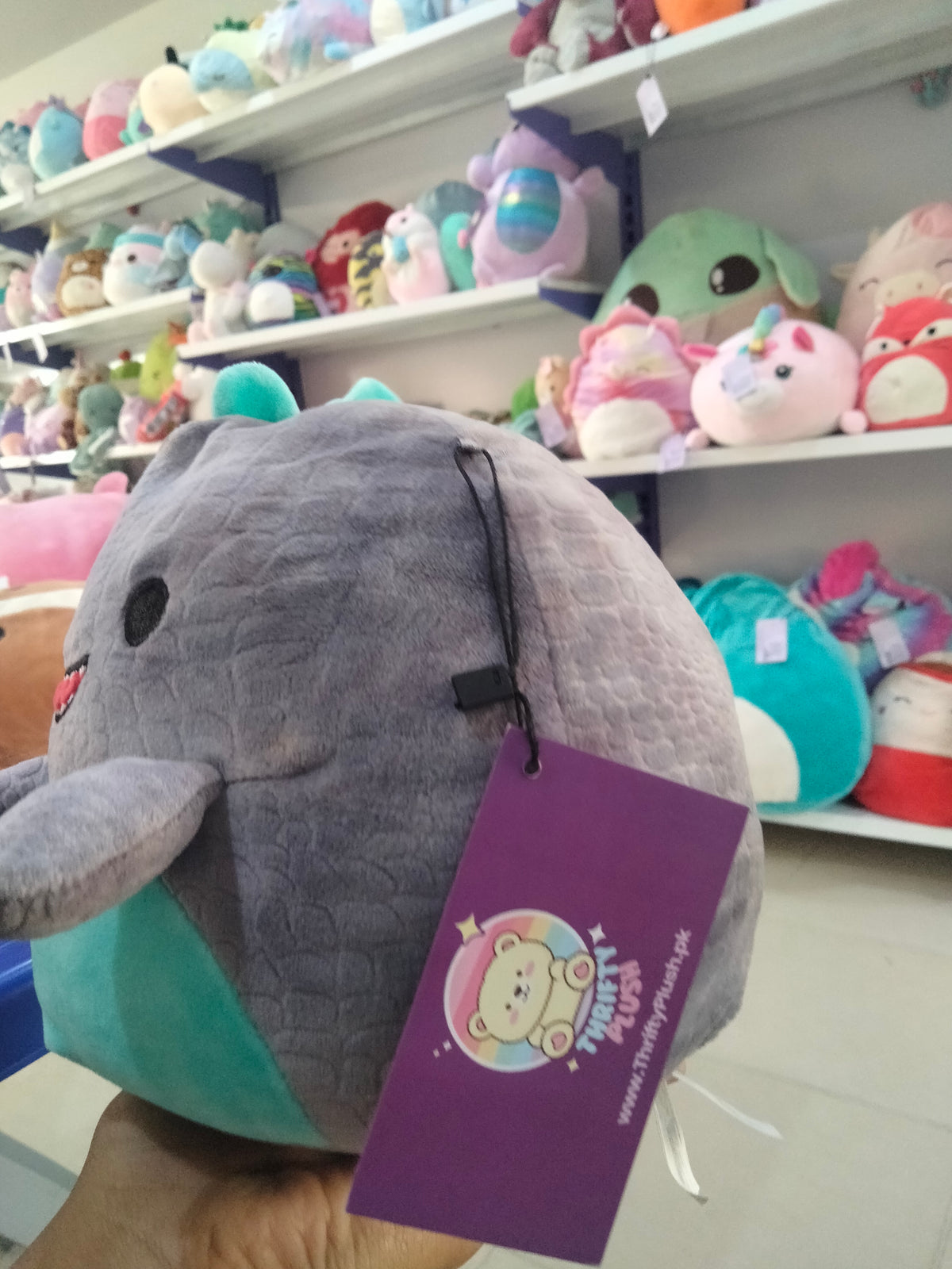 Squishmallows Chuey the T-Rex dinosaur plush in gray and teal.