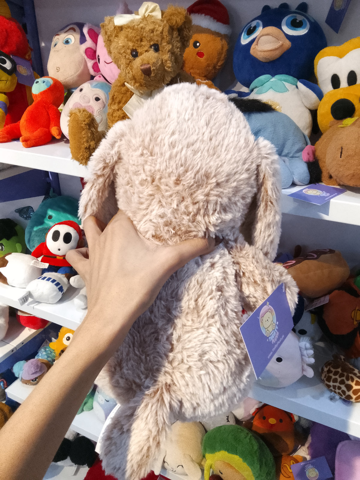 PetSmart Charities "Chance" Holiday Plush Dog Toy