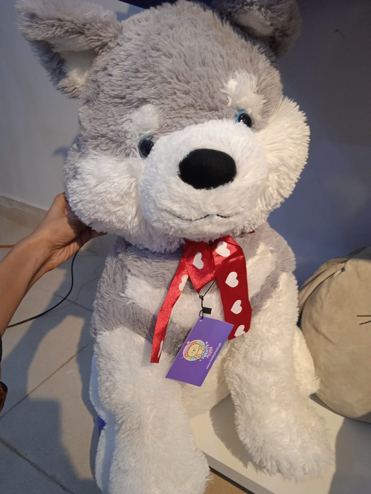 Hug & Luv Siberian Husky Plush Toy