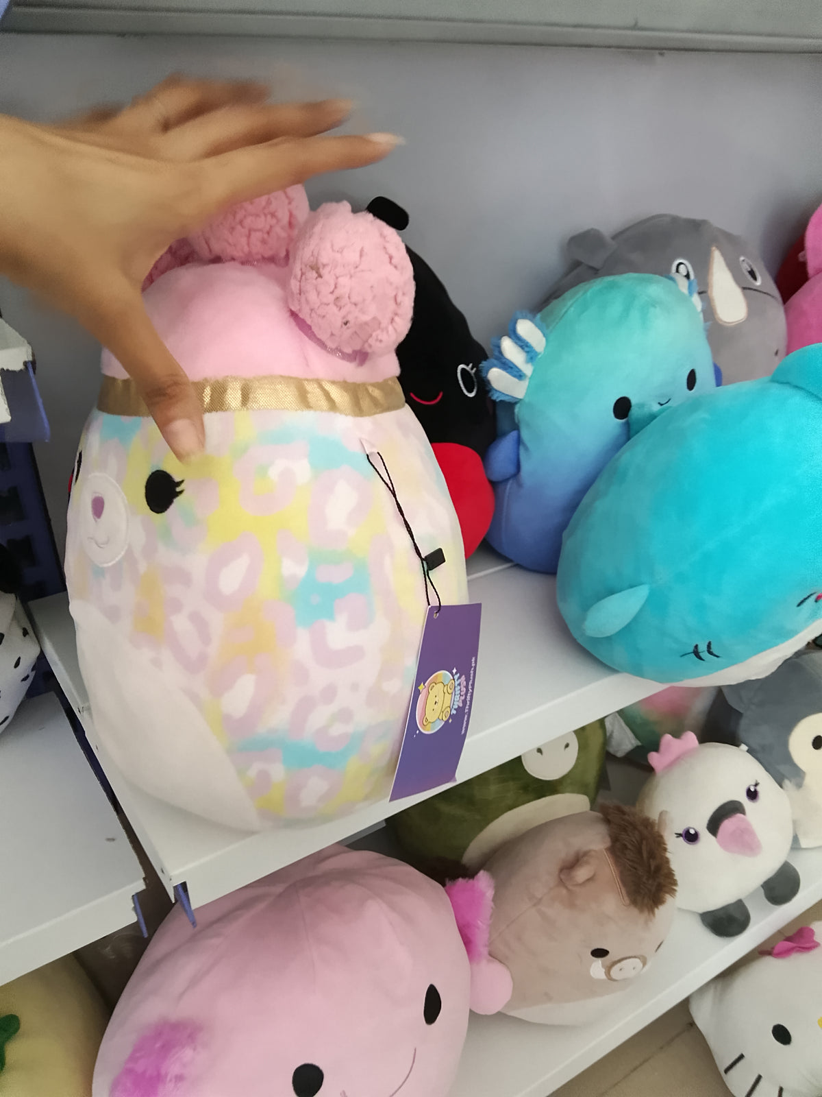 Squishmallows Beebz cheetah plush toy from the Squish-Doos collection.