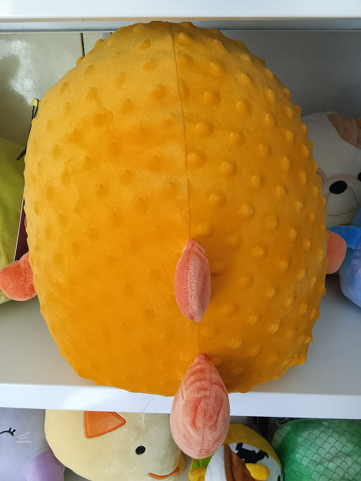 Squishmallows Safa the Pufferfish, soft, marshmallow Plush toy.