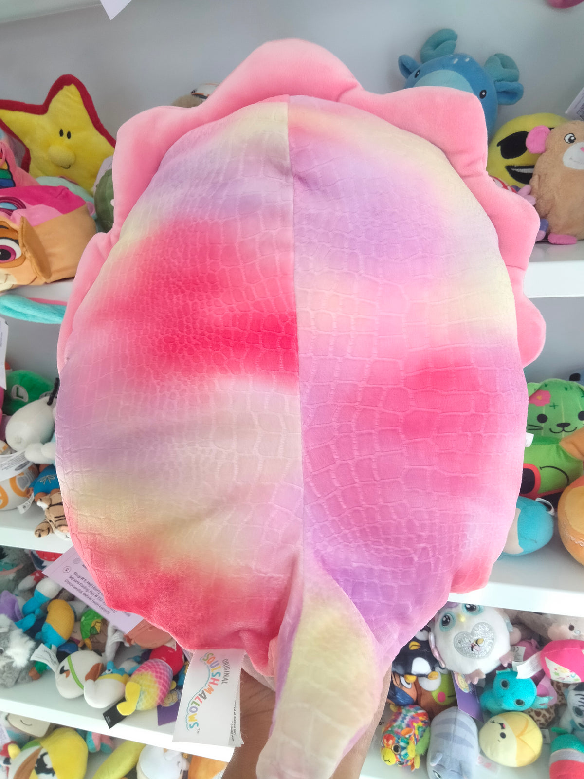 Squishmallows Trinity the Triceratops plush toy.