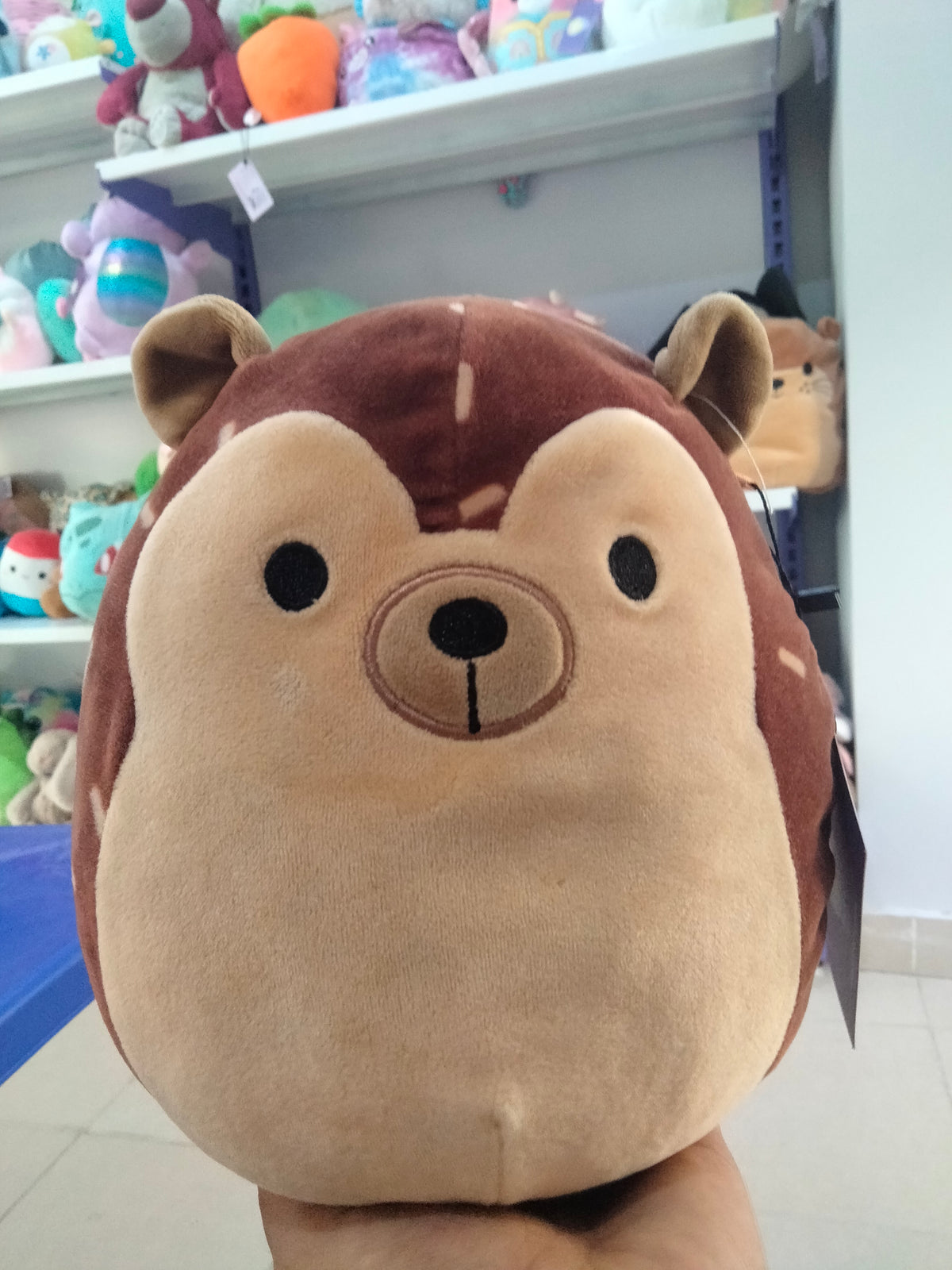 Squishmallows Hans the Hedgehog brown plush toy.