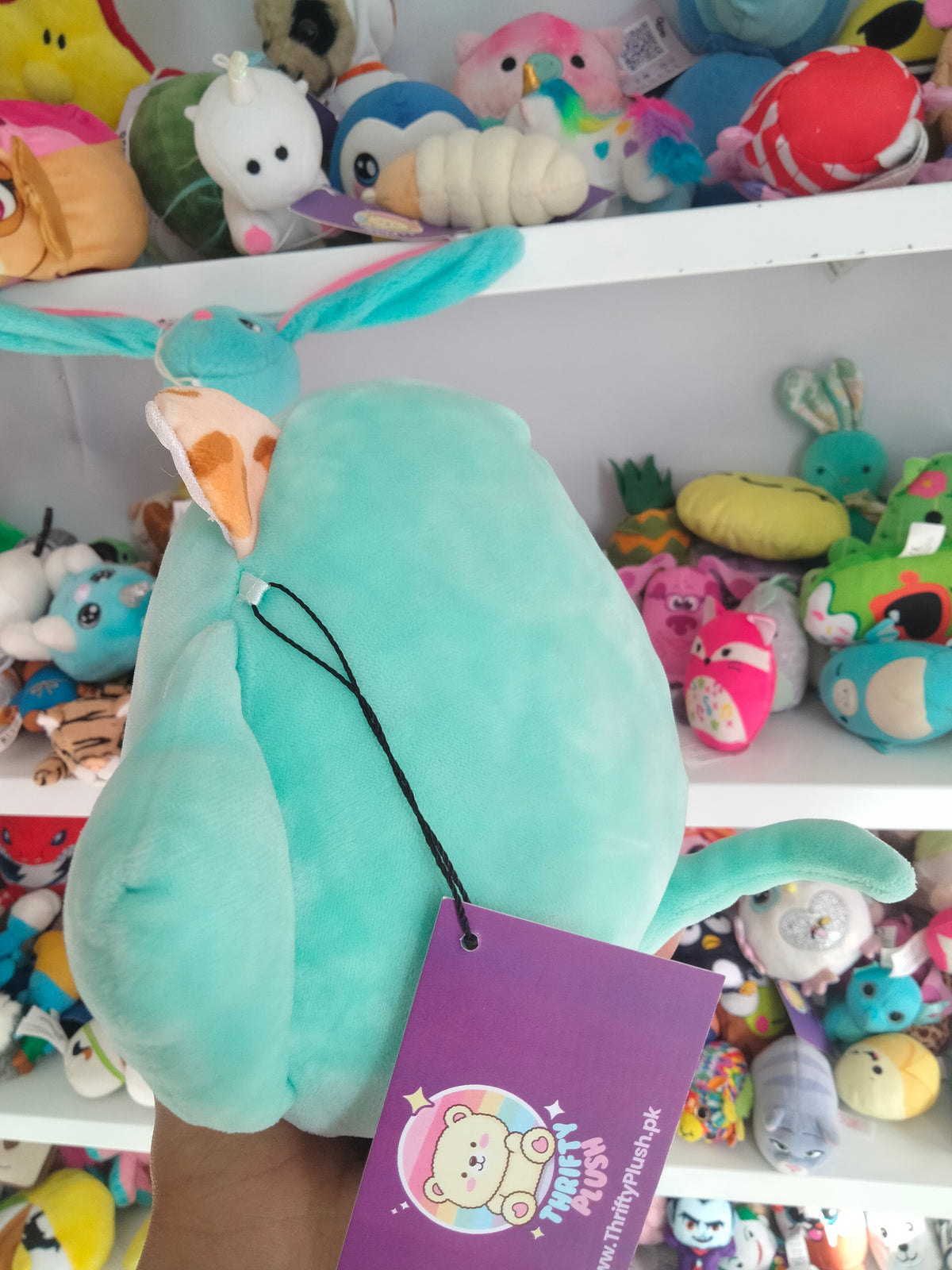 Squishmallows Lexie the Cheetah plush toy dressed in a stingray costume.