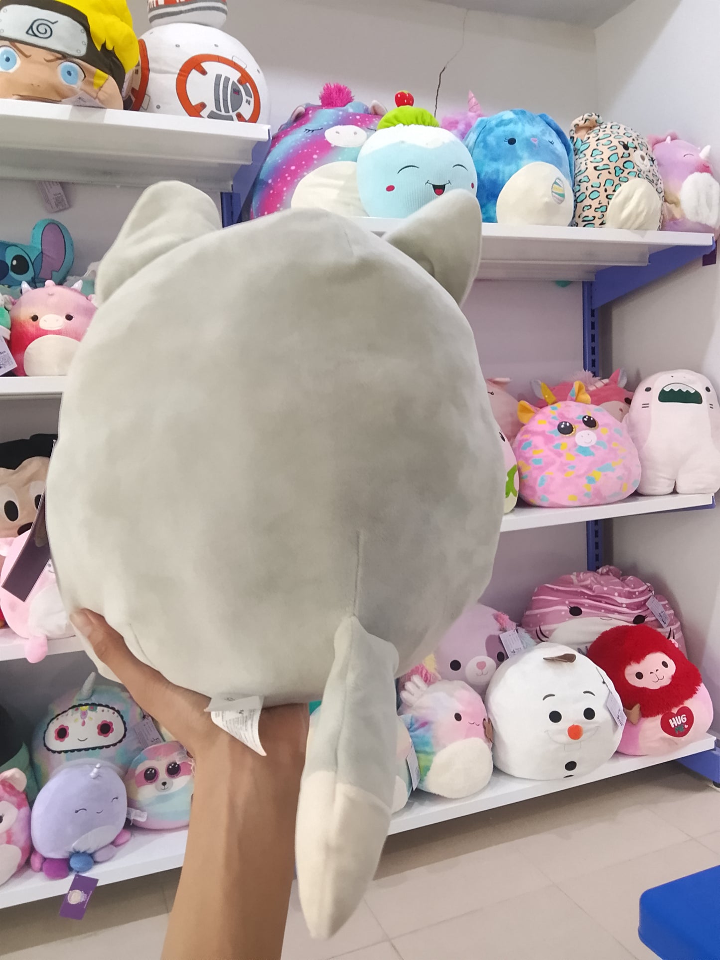 Squishmallow Oakley the Wolf Plush Toy.