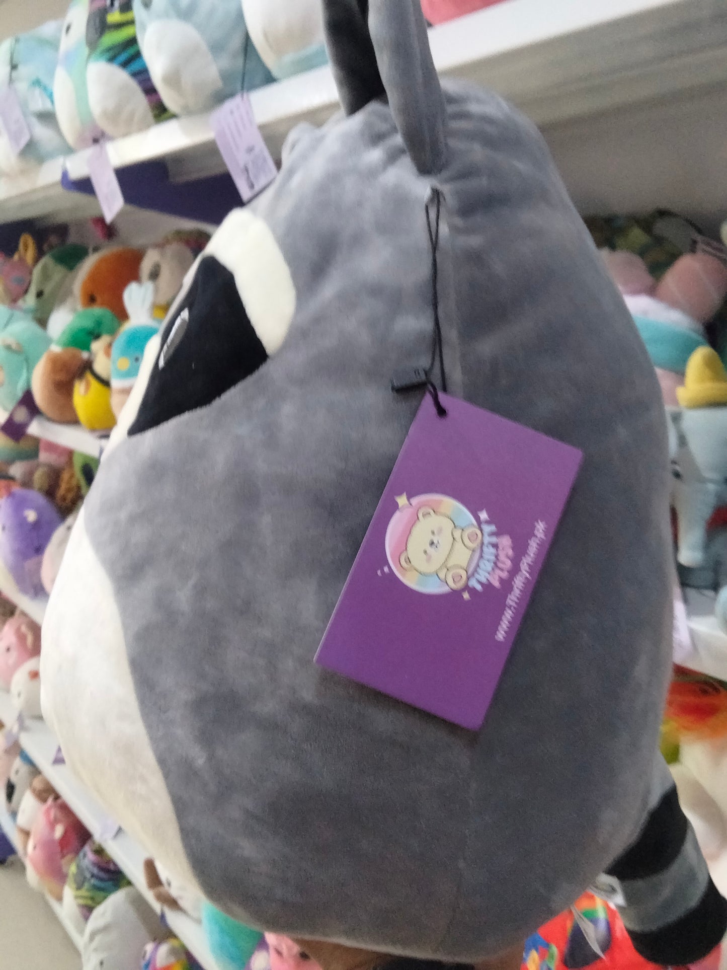Squishmallows Rocky the Raccoon plush stuffed animal.