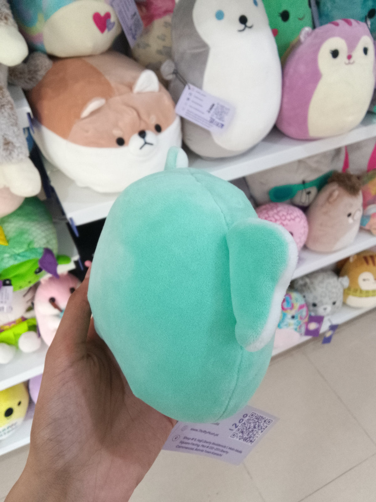 Squishmallows Zoo Squad Diego the Teal Elephant plush toy.