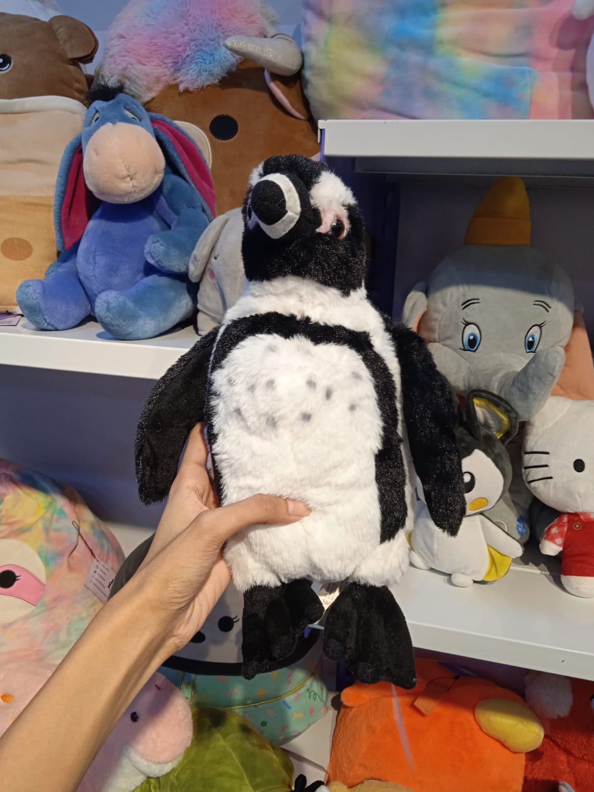 African Black-Footed Penguin Plush Toy.