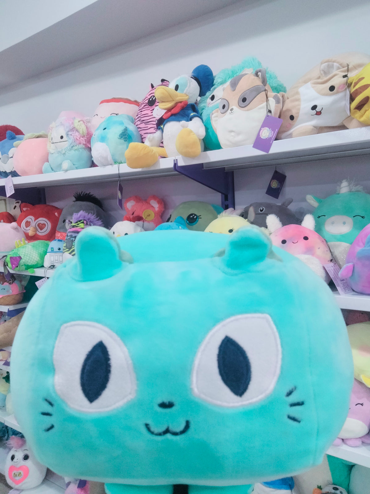 Cat" pet from the Roblox game Pet Simulator X.