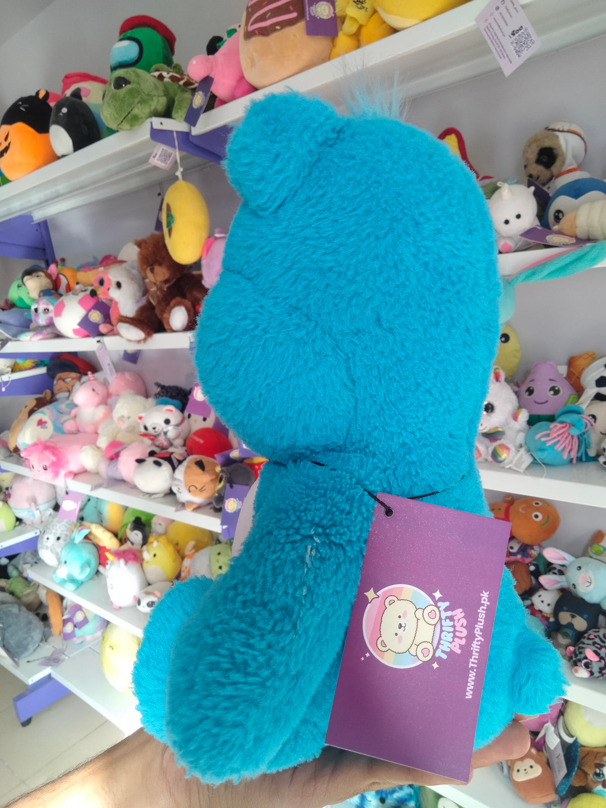 Care Bears Grumpy Bear plush toy.