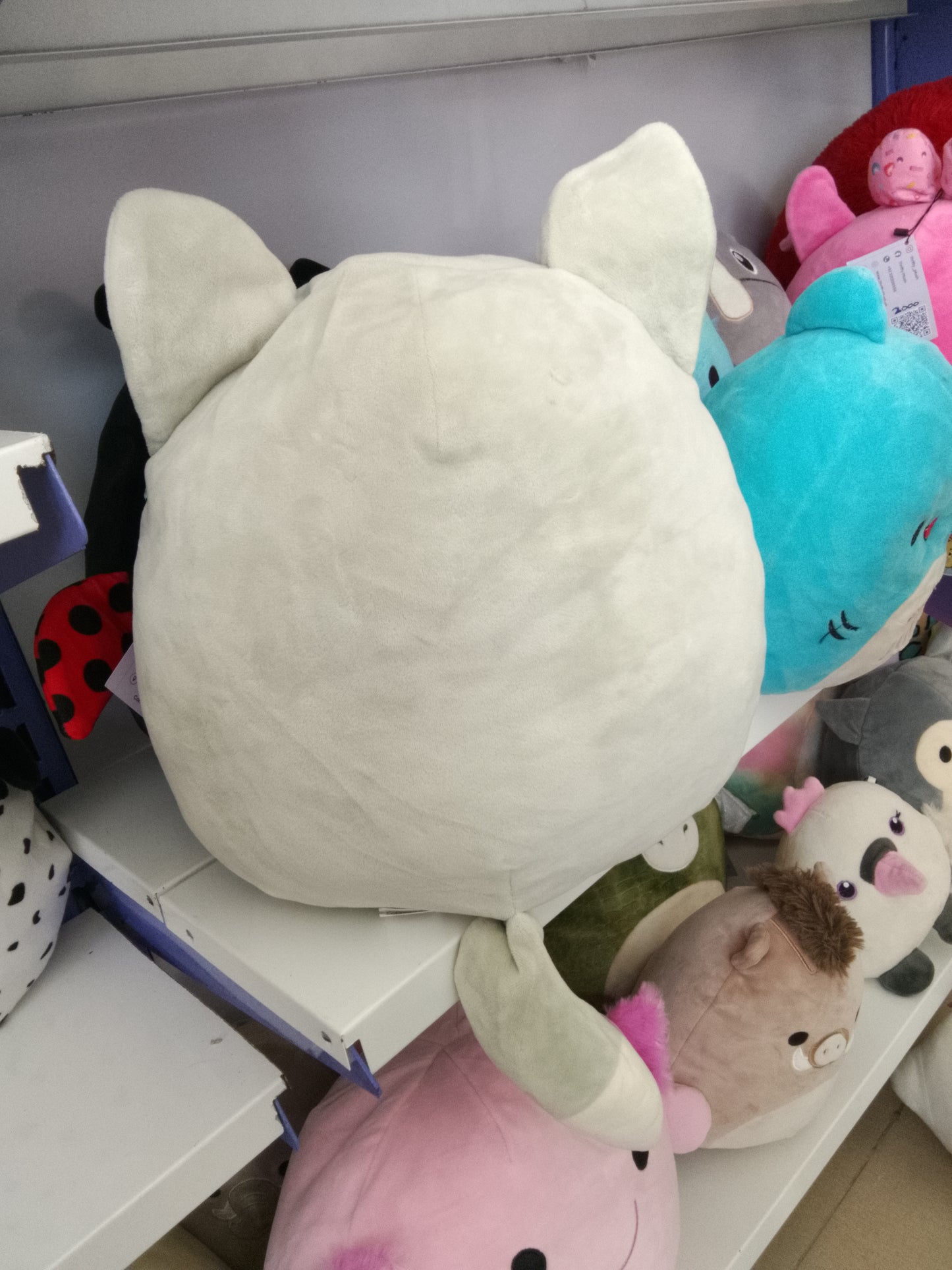 Squishmallow Willy the Wolf or Oakley the Wolf Plush toy.