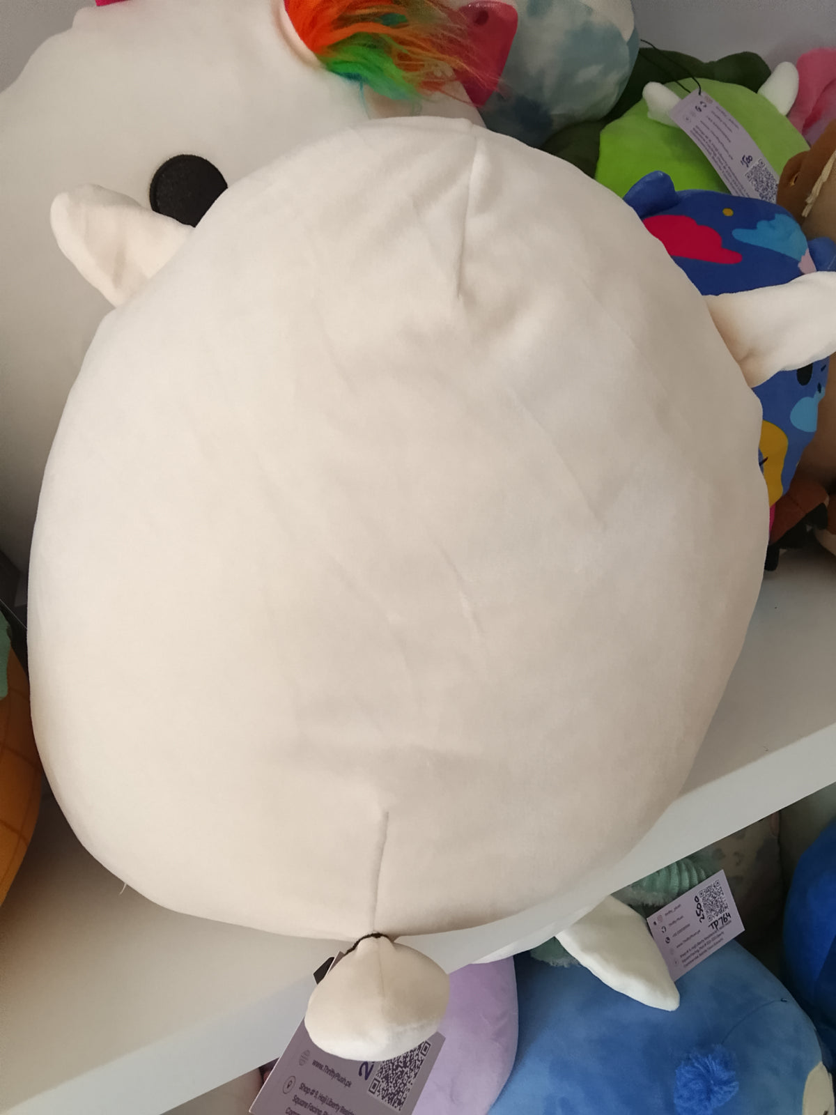 Squishmallows Sophie the Lamb plush toy.