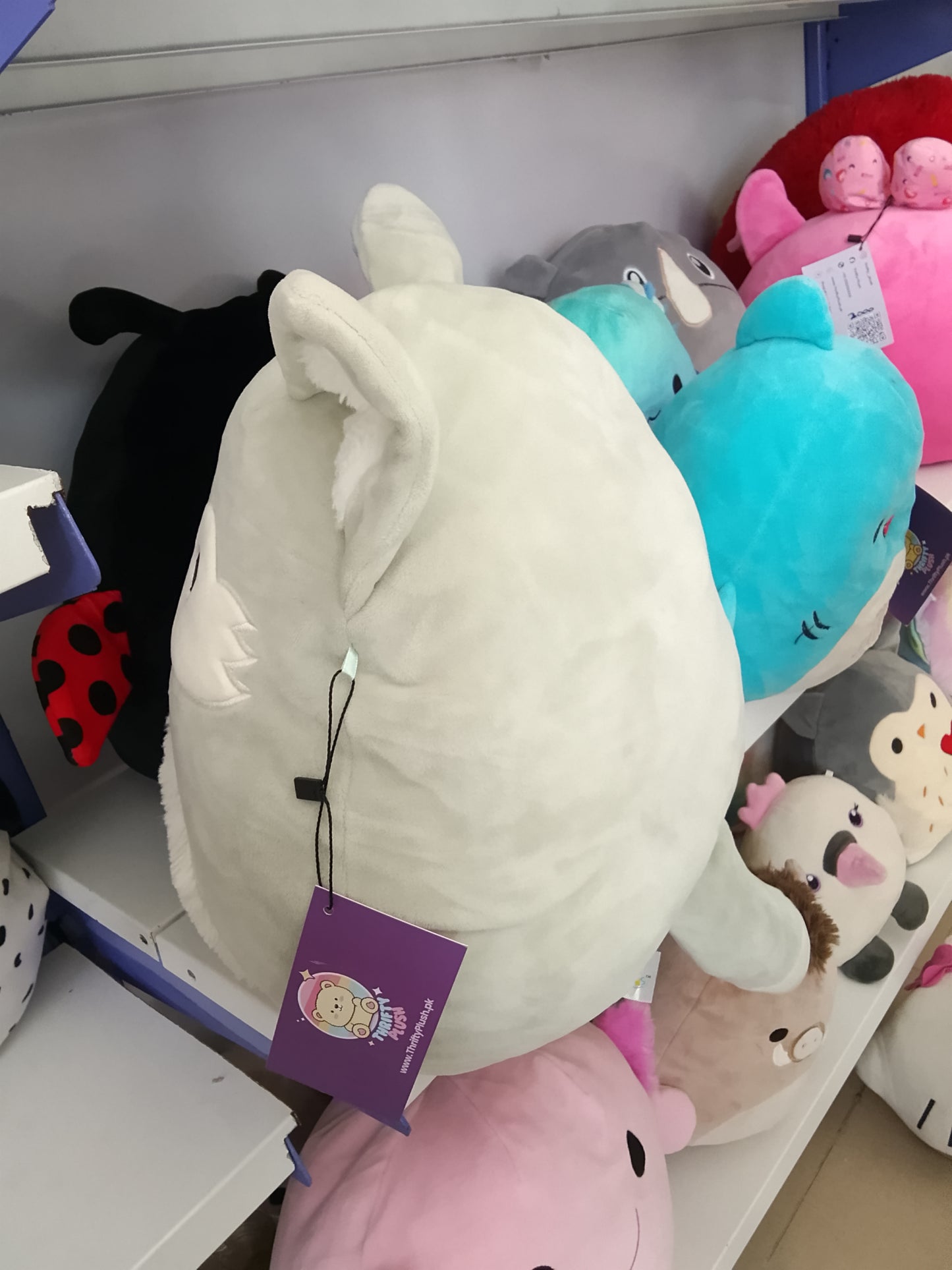 Squishmallow Willy the Wolf or Oakley the Wolf Plush toy.