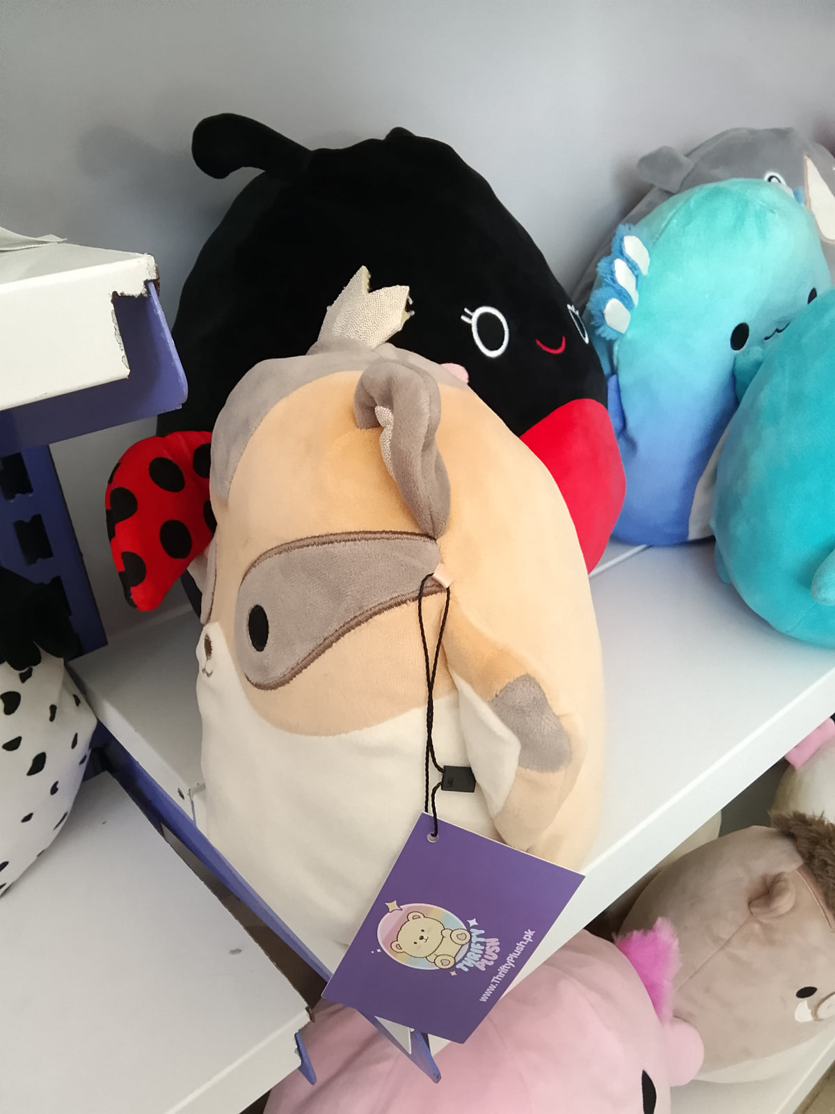 Squishmallows Ziv the Sugar Glider plush toy.
