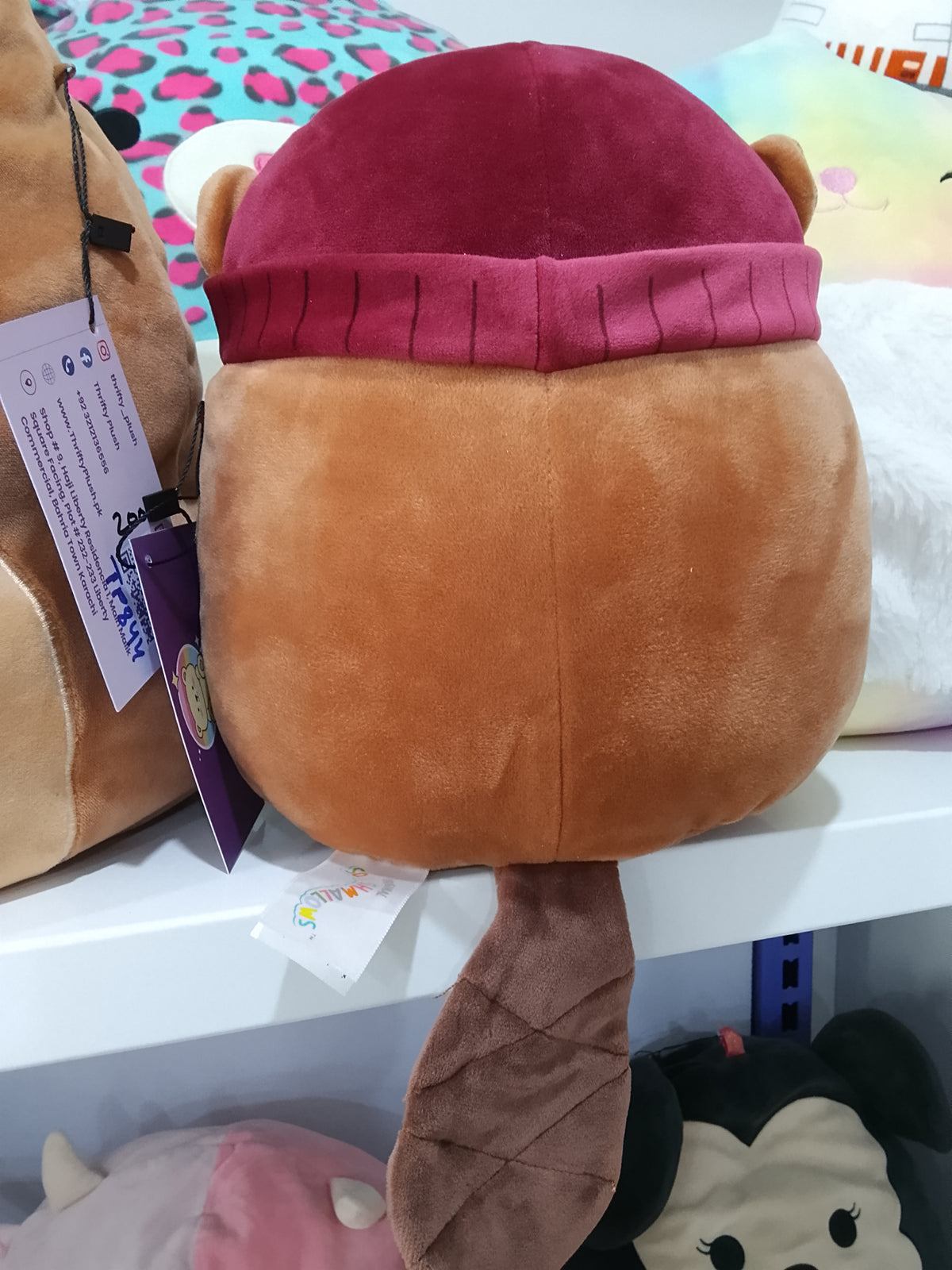 Squishmallows Chip the Beaver plush toy.