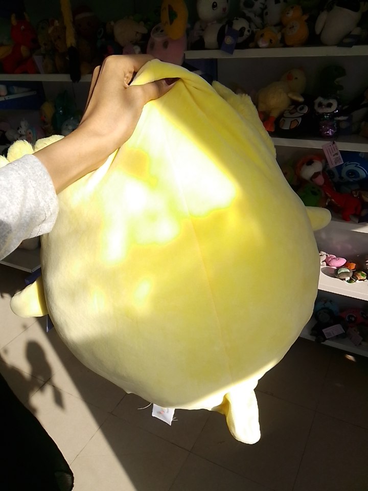Bertwin the Bearded Dragon