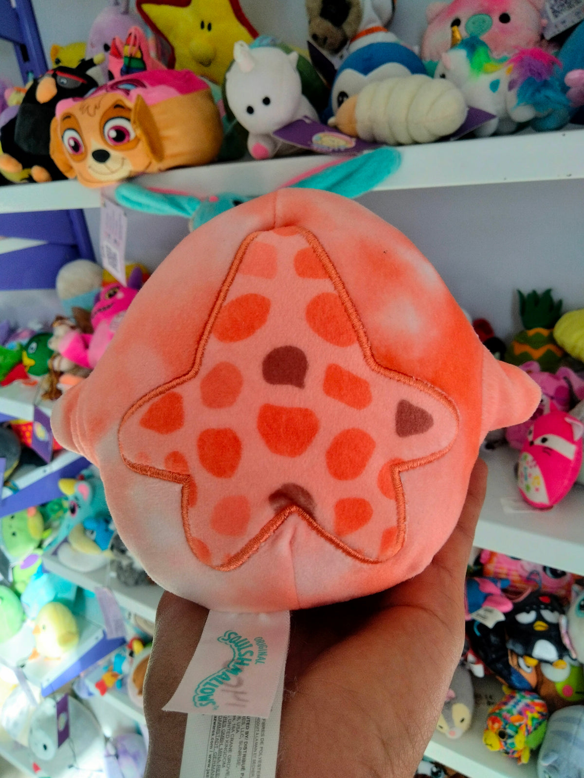 Squishmallows Livvy the Coral Starfish plush toy