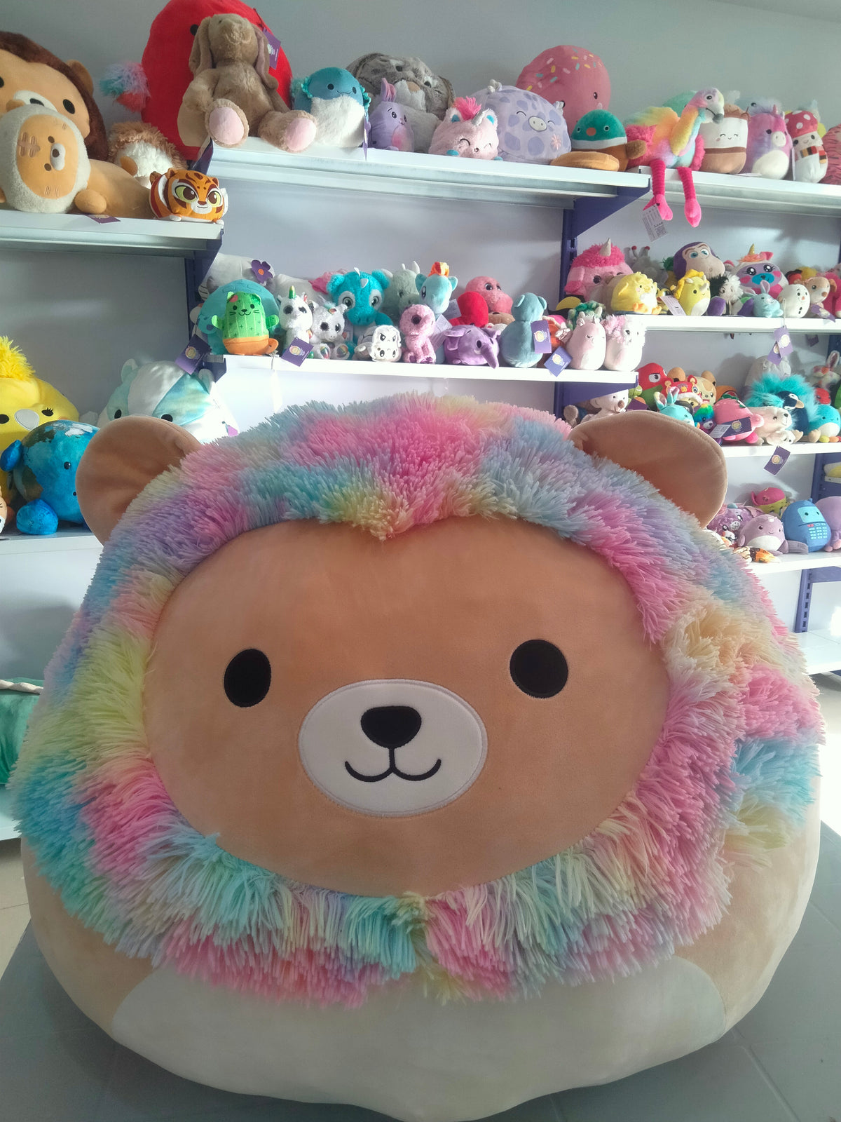 Leonard the Rainbow Lion Squishmallow plush toy.
