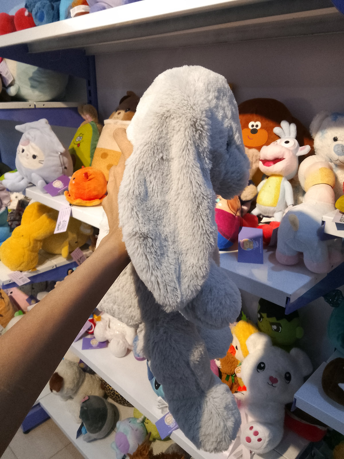 Bashful Silver Bunny Plush toy