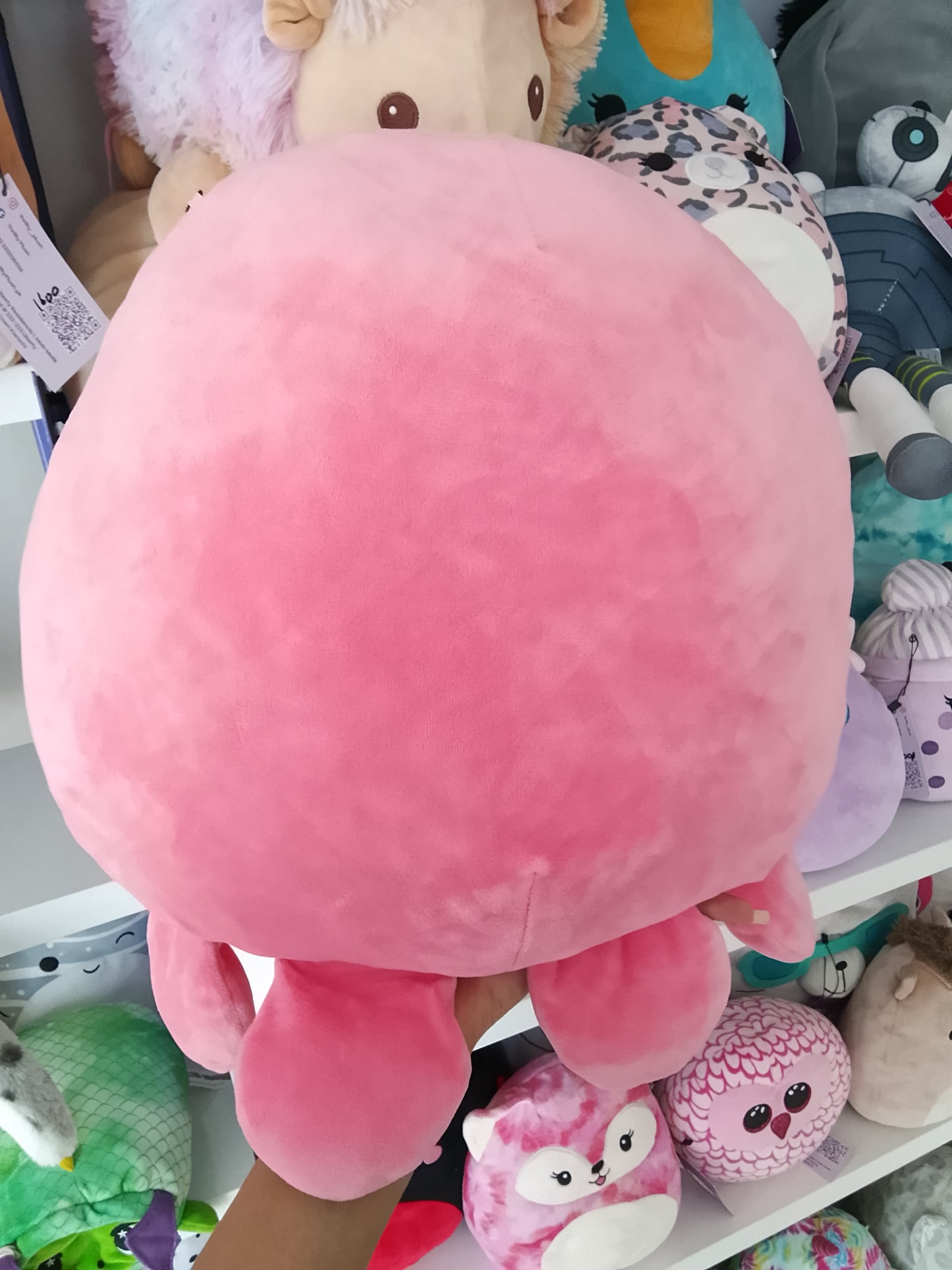 Abby the Octopus, a pink Squishmallow character from the Valentine and Sealife Squads.