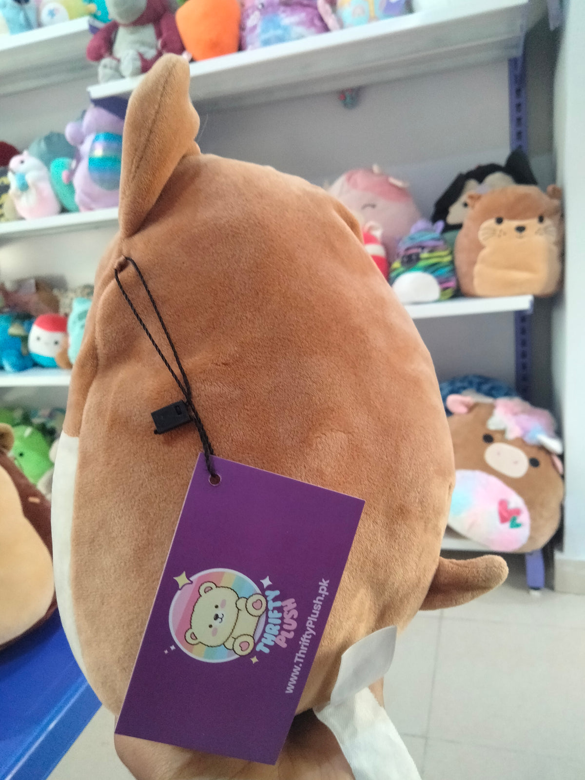 This is a Kellytoy Squishmallows Reginald the Corgi plush toy in a 12-inch size.