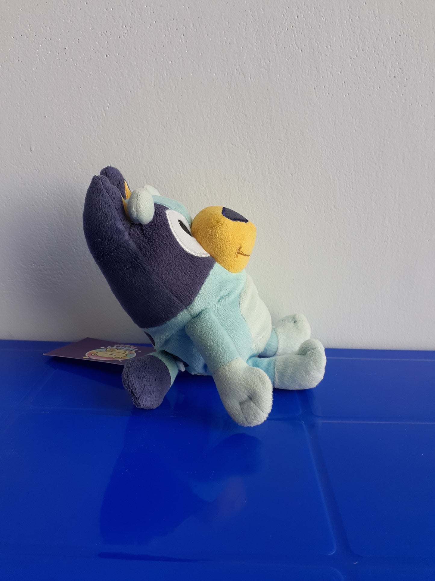 Bluey Plushie Toy,