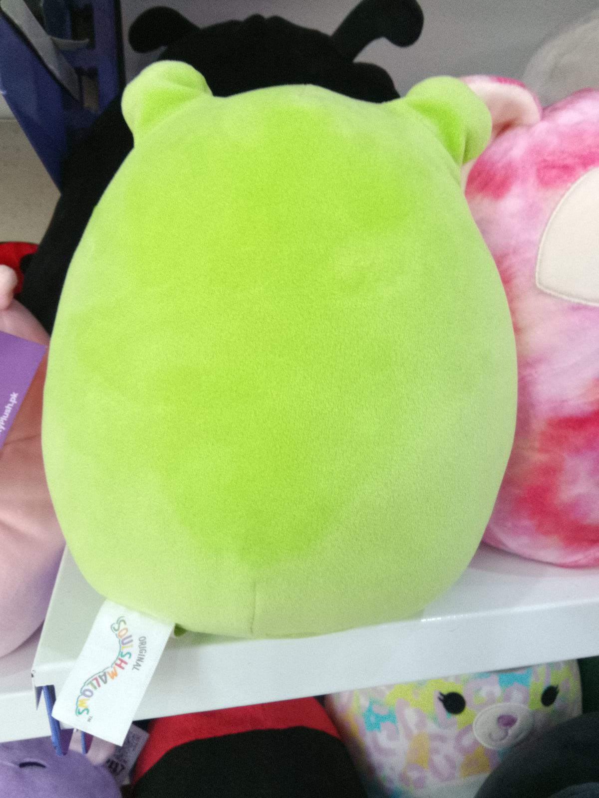 Squishmallows Wendy the Frog plush toy.