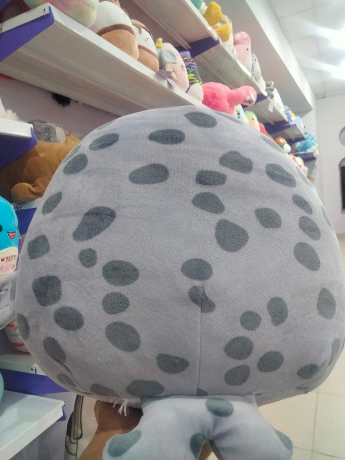 Squishmallowsplush stuffed animal Odile the Seal.